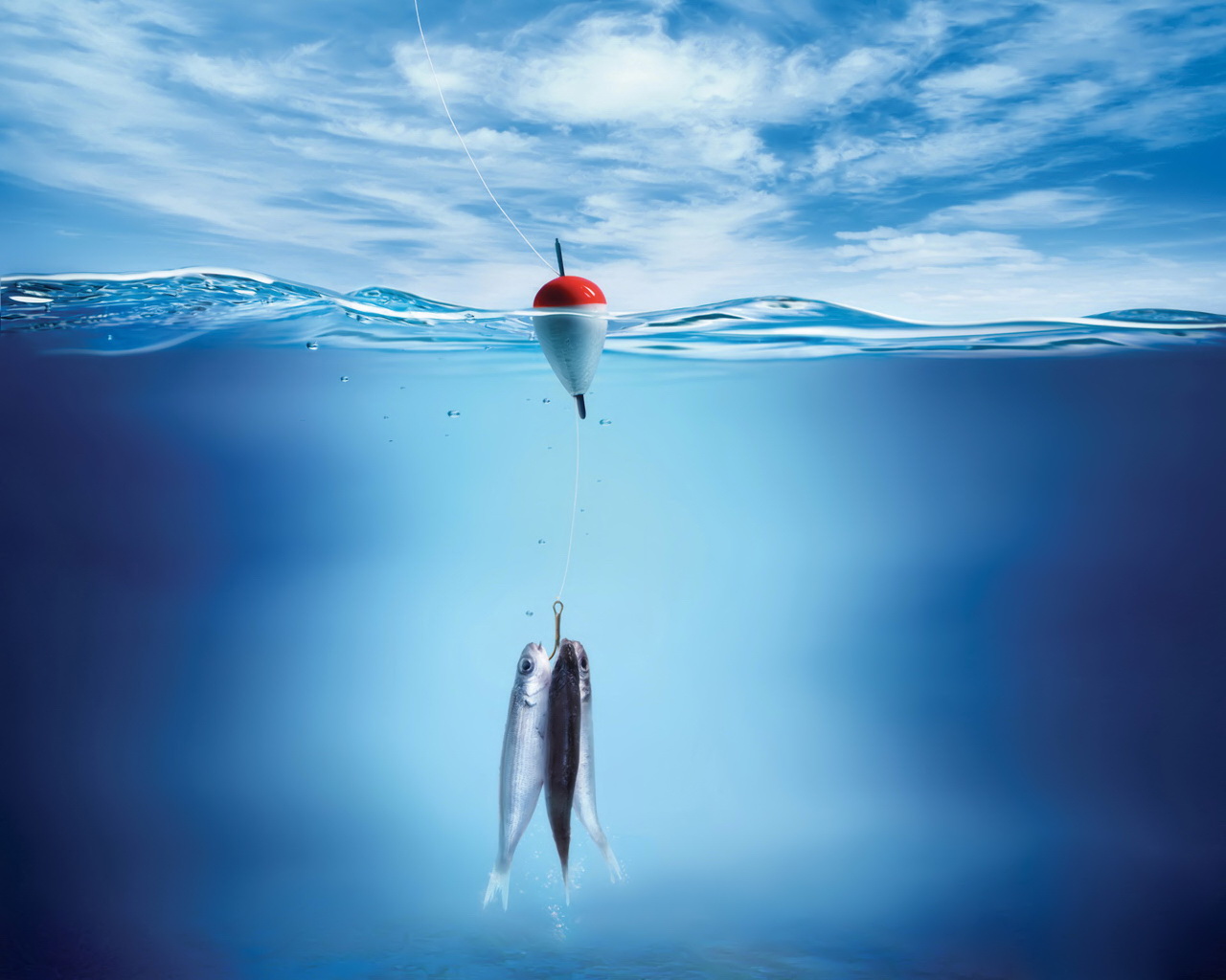 Рыбалка с эхолотами Lucky Fishfinder
